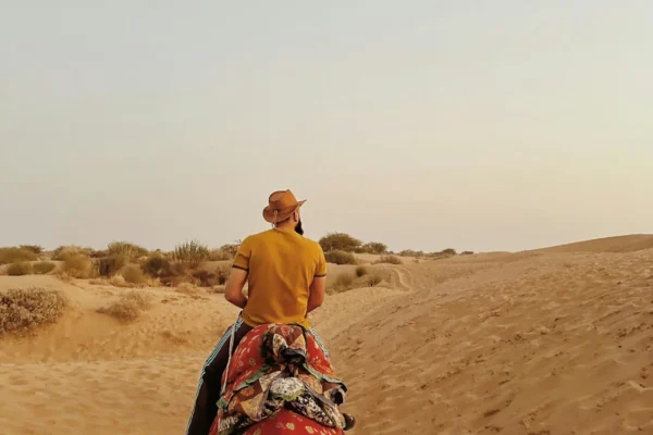 Luxury Rajasthan Tour – Imperial Forts, Palaces & Desert