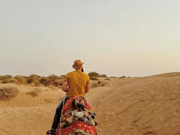 Luxury Rajasthan Tour – Imperial Forts, Palaces & Desert