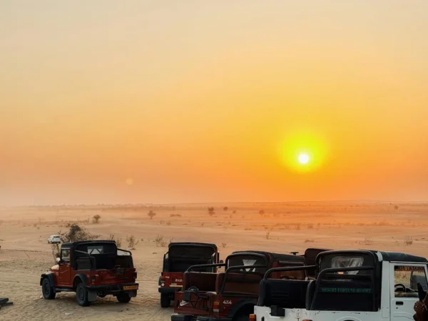 Jaisalmer Desert Safari Tour from Jaipur